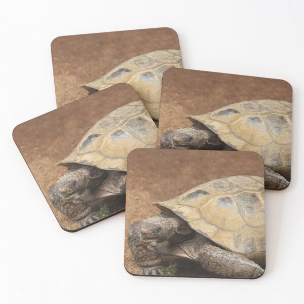 Item preview, Mr. Tortie designed and sold by heatherfriedman.