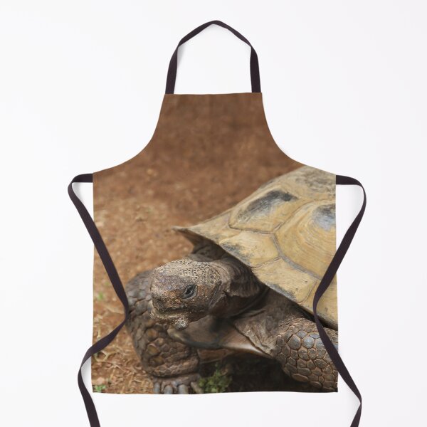 Item preview, Mr. Tortie designed and sold by heatherfriedman.