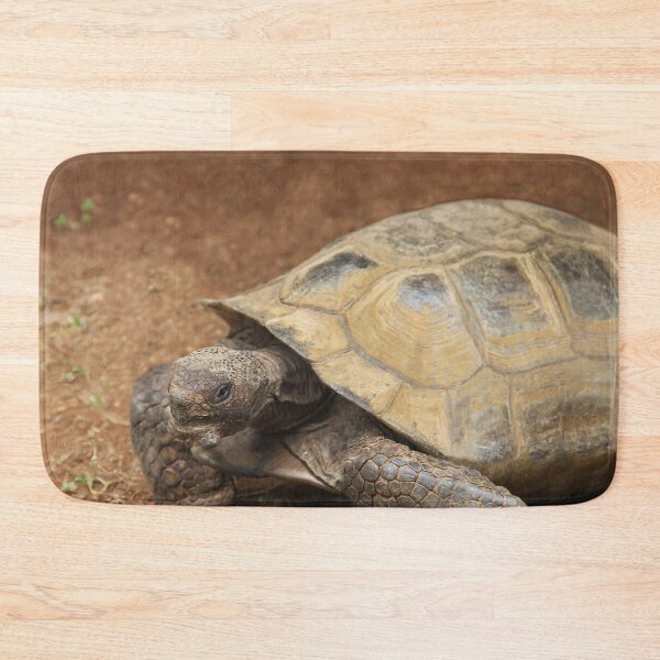 Item preview, Mr. Tortie designed and sold by heatherfriedman.