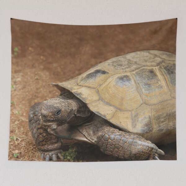 Item preview, Mr. Tortie designed and sold by heatherfriedman.