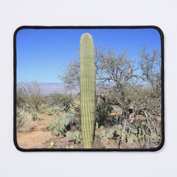 Item preview, Cacti Erectus designed and sold by MatthewThomasDaniels.