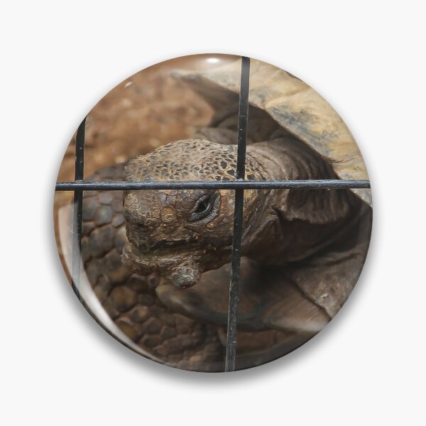 Item preview, Let Me Out of Here! designed and sold by heatherfriedman.