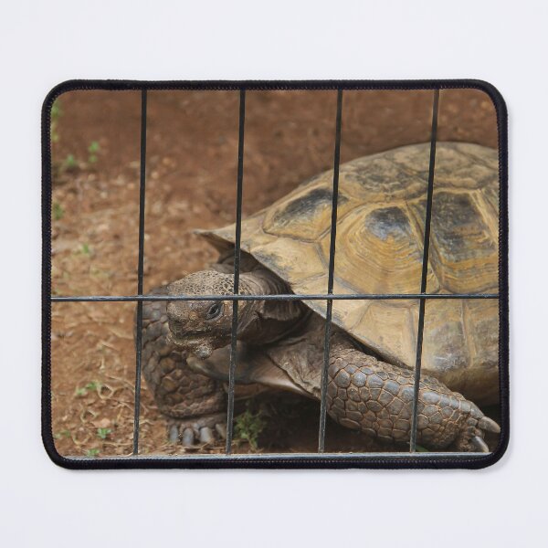 Item preview, Let Me Out of Here! designed and sold by heatherfriedman.