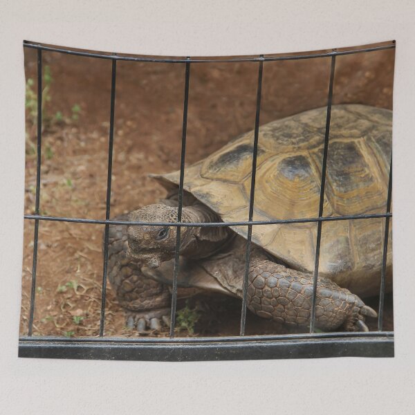 Item preview, Let Me Out of Here! designed and sold by heatherfriedman.