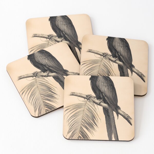 Item preview, Arara-Azul — Ilustração Científica Vintage | Atlantic Forest designed and sold by AtlanticForest.