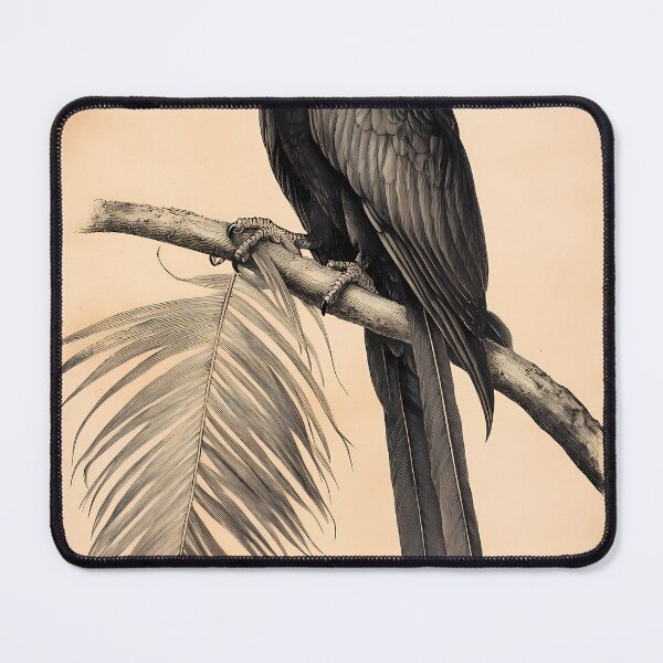Item preview, Arara-Azul — Ilustração Científica Vintage | Atlantic Forest designed and sold by AtlanticForest.
