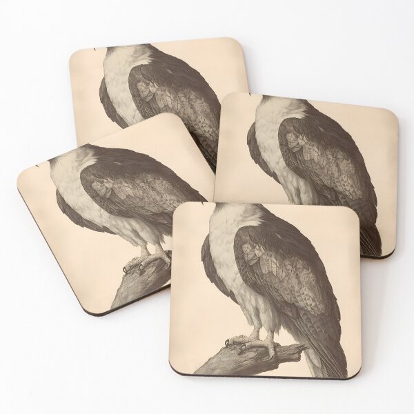 Item preview, Gavião-Real — Gravura Botânica Vintage | Atlantic Forest designed and sold by AtlanticForest.