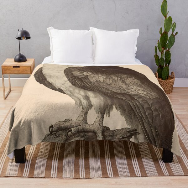 Item preview, Gavião-Real — Gravura Botânica Vintage | Atlantic Forest designed and sold by AtlanticForest.