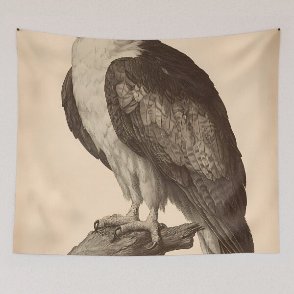 Item preview, Gavião-Real — Gravura Botânica Vintage | Atlantic Forest designed and sold by AtlanticForest.