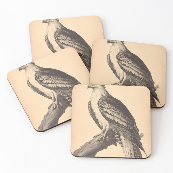 Item preview, Gavião-Real — Ilustração Científica Vintage | Atlantic Forest designed and sold by AtlanticForest.