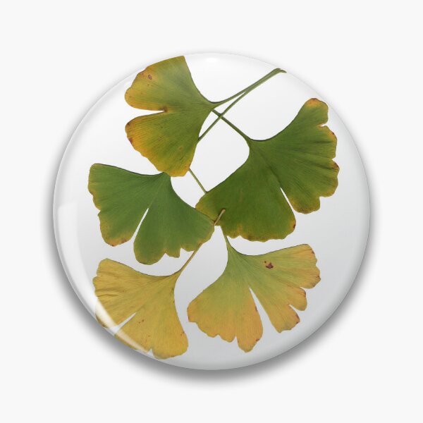 Item preview, Ginkgo Leaves in Autumn designed and sold by Betty Mackey.