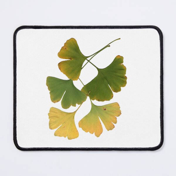 Item preview, Ginkgo Leaves in Autumn designed and sold by Betty Mackey.