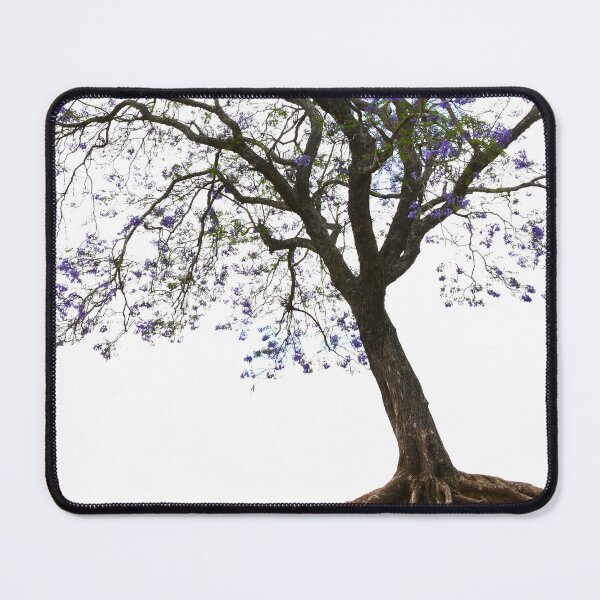 Item preview, Jacaranda Tree designed and sold by photosbymia.