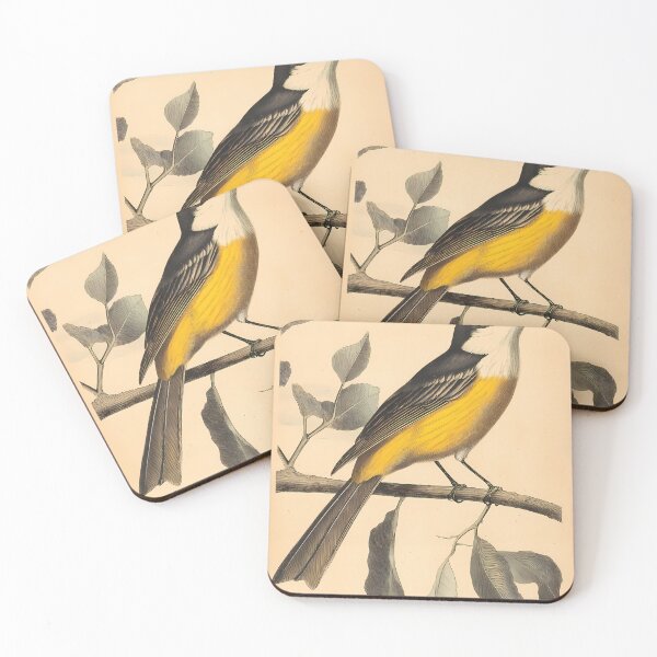 Item preview, Bem-Te-Vi — Gravura Botânica Vintage | Atlantic Forest designed and sold by AtlanticForest.