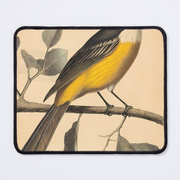 Item preview, Bem-Te-Vi — Gravura Botânica Vintage | Atlantic Forest designed and sold by AtlanticForest.