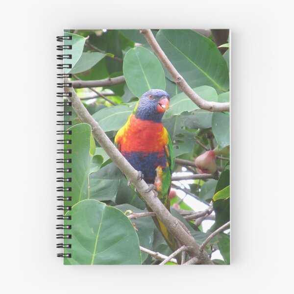 Item preview, Rainbow Lorikeet designed and sold by jlou22.