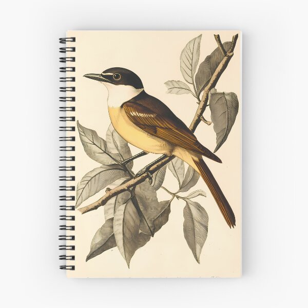 Item preview, Bem-Te-Vi — Ilustração Científica Vintage | Atlantic Forest designed and sold by AtlanticForest.