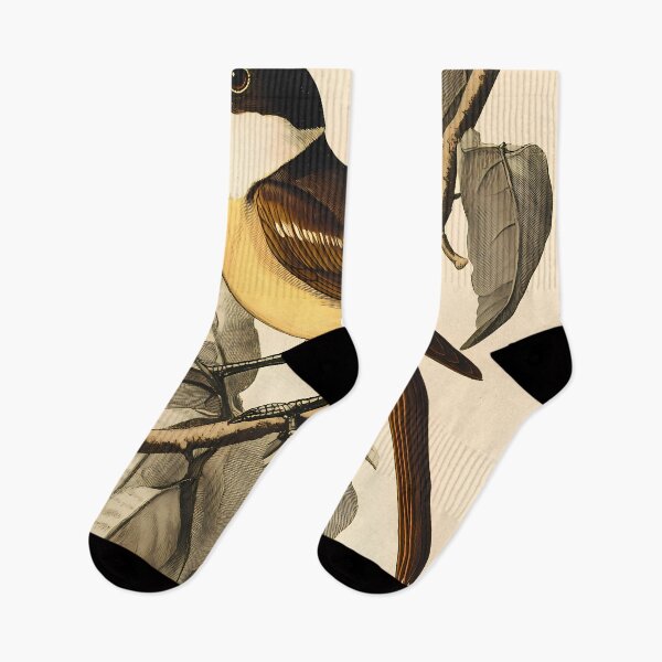 Item preview, Bem-Te-Vi — Ilustração Científica Vintage | Atlantic Forest designed and sold by AtlanticForest.