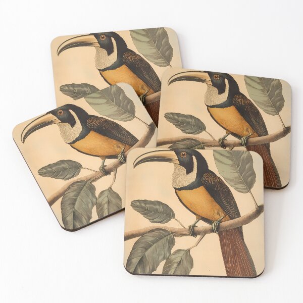 Item preview, Araçari-Castanho — Gravura Botânica Vintage | Atlantic Forest designed and sold by AtlanticForest.