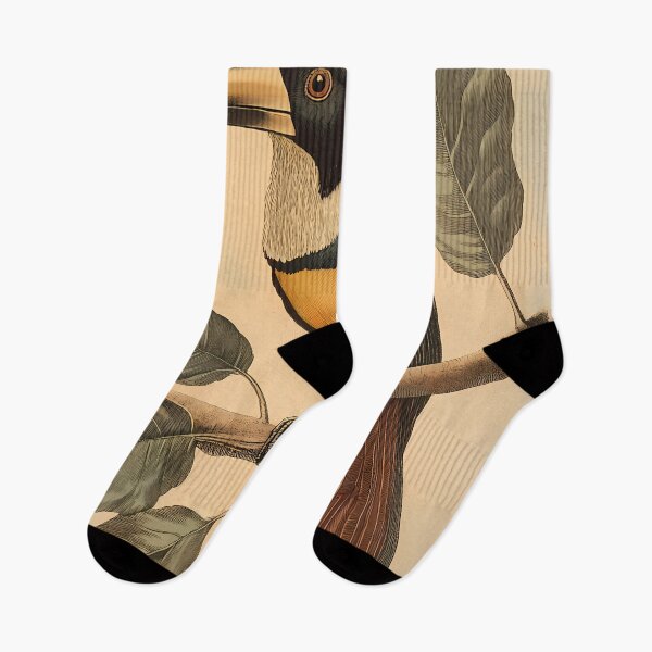 Item preview, Araçari-Castanho — Gravura Botânica Vintage | Atlantic Forest designed and sold by AtlanticForest.