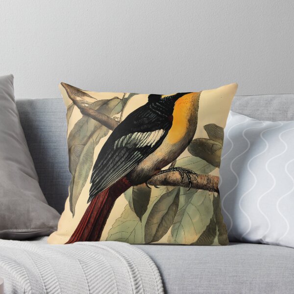 Item preview, Araçari-Castanho — Ilustração Científica Vintage | Atlantic Forest designed and sold by AtlanticForest.