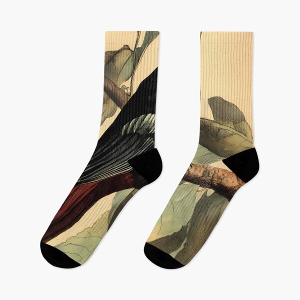 Item preview, Araçari-Castanho — Ilustração Científica Vintage | Atlantic Forest designed and sold by AtlanticForest.