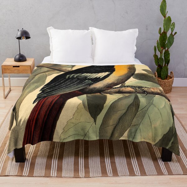 Item preview, Araçari-Castanho — Ilustração Científica Vintage | Atlantic Forest designed and sold by AtlanticForest.
