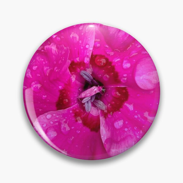 Item preview, China Pink Dianthus designed and sold by WINGSofWONDER.