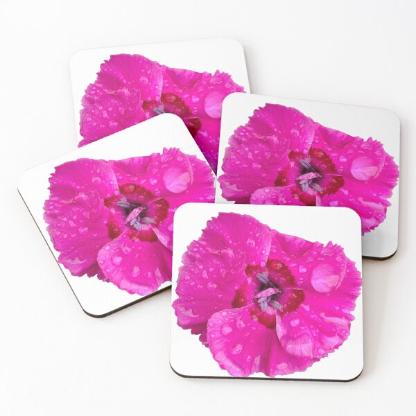 Item preview, China Pink Dianthus designed and sold by WINGSofWONDER.