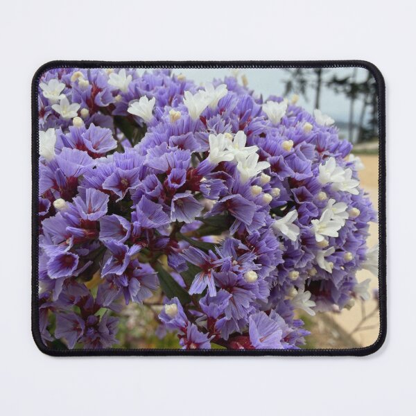 Item preview, Sea Lavender Blooms designed and sold by Betsy Phillips.