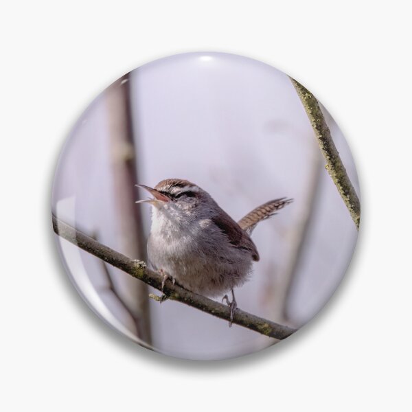 Item preview, A A Wren designed and sold by ArtGalt.
