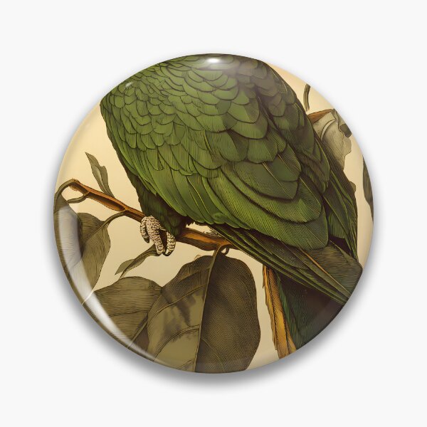 Item preview, Papagaio-Verdadeiro — Gravura Botânica Vintage | Atlantic Forest designed and sold by AtlanticForest.