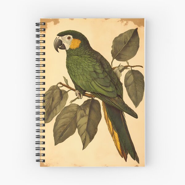 Item preview, Papagaio-Verdadeiro — Gravura Botânica Vintage | Atlantic Forest designed and sold by AtlanticForest.