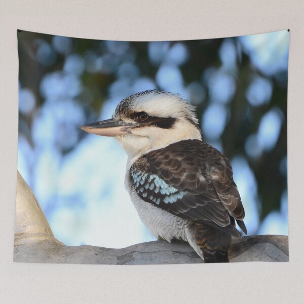 Item preview, Kookaburra in a Gumtree designed and sold by photosbymia.