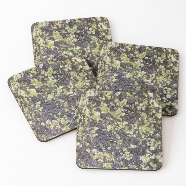 Item preview, Lichen on a Rock  designed and sold by Amanda1775.
