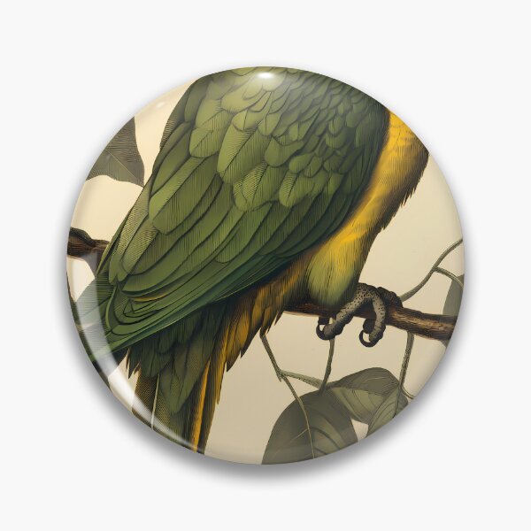 Item preview, Papagaio-Verdadeiro — Ilustração Científica Vintage | Atlantic Forest designed and sold by AtlanticForest.
