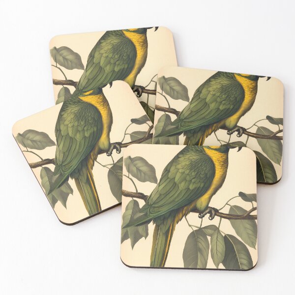 Item preview, Papagaio-Verdadeiro — Ilustração Científica Vintage | Atlantic Forest designed and sold by AtlanticForest.