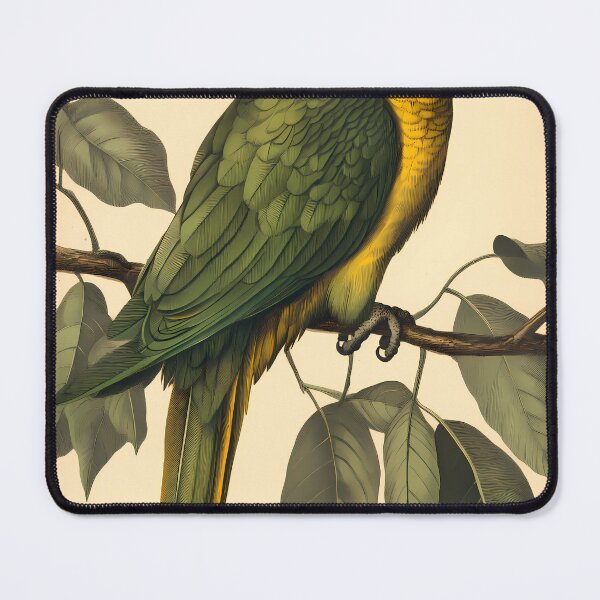 Item preview, Papagaio-Verdadeiro — Ilustração Científica Vintage | Atlantic Forest designed and sold by AtlanticForest.