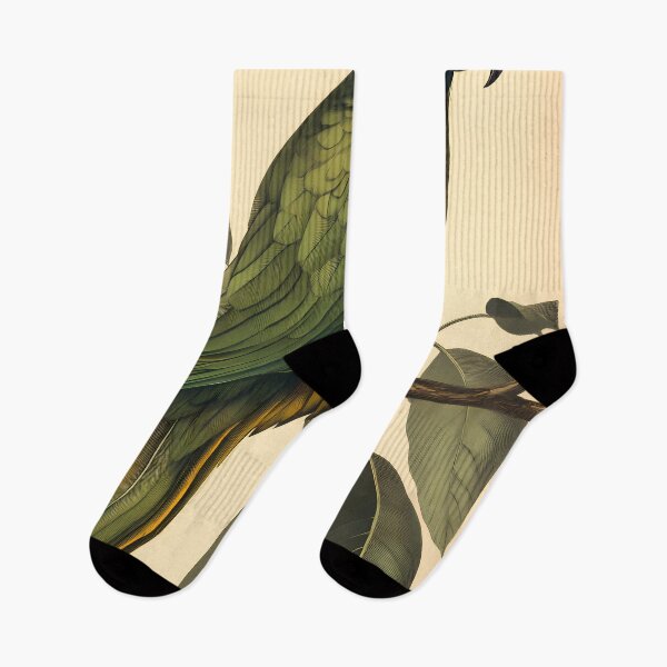 Item preview, Papagaio-Verdadeiro — Ilustração Científica Vintage | Atlantic Forest designed and sold by AtlanticForest.