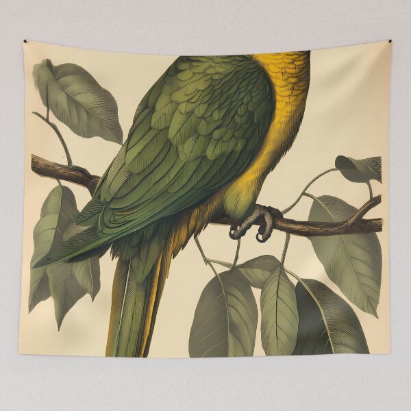 Item preview, Papagaio-Verdadeiro — Ilustração Científica Vintage | Atlantic Forest designed and sold by AtlanticForest.