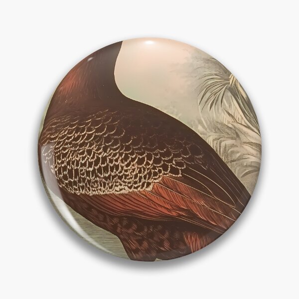 Item preview, Pato-do-Mato — Gravura Botânica Vintage | Atlantic Forest designed and sold by AtlanticForest.