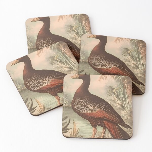 Item preview, Pato-do-Mato — Gravura Botânica Vintage | Atlantic Forest designed and sold by AtlanticForest.