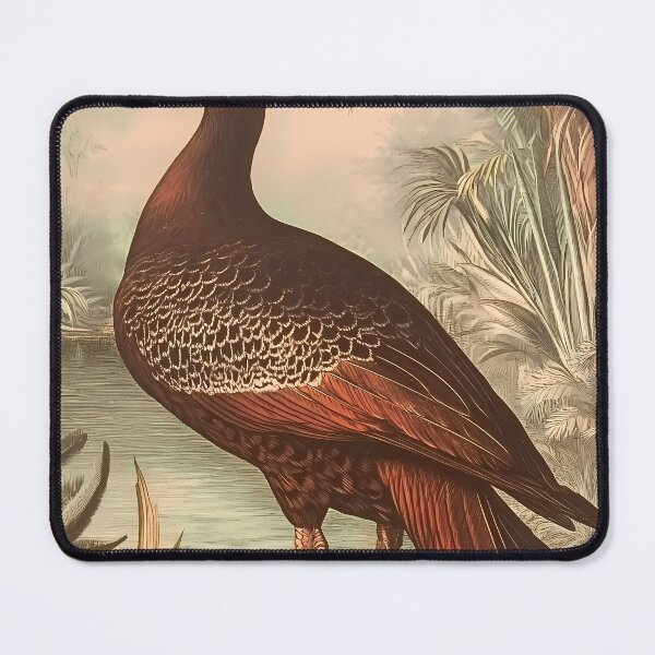 Item preview, Pato-do-Mato — Gravura Botânica Vintage | Atlantic Forest designed and sold by AtlanticForest.