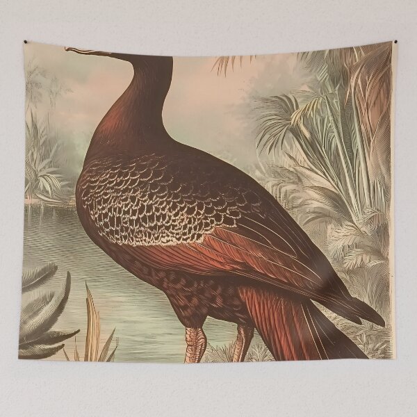 Item preview, Pato-do-Mato — Gravura Botânica Vintage | Atlantic Forest designed and sold by AtlanticForest.