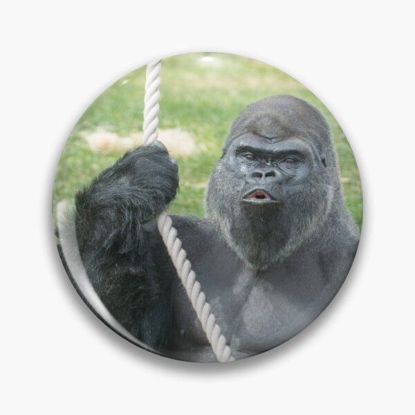 Item preview, Oumbi’s Powerful Hoot designed and sold by rawshutterbug.