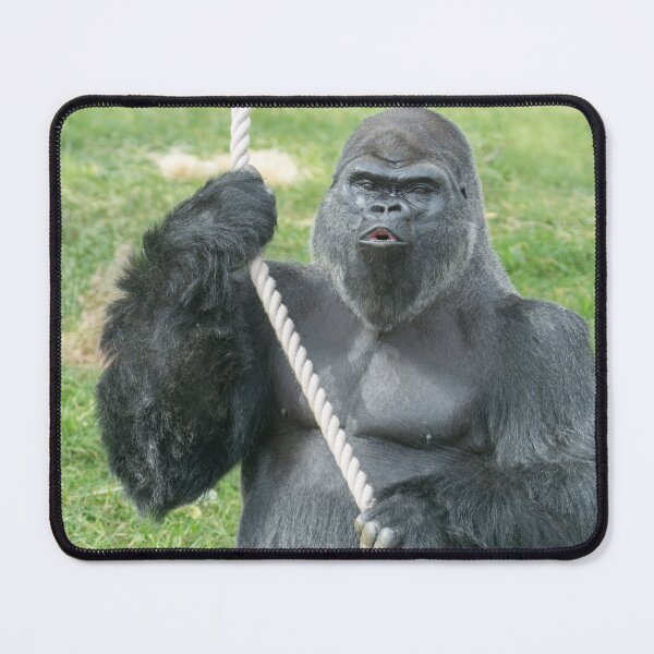 Item preview, Oumbi’s Powerful Hoot designed and sold by rawshutterbug.