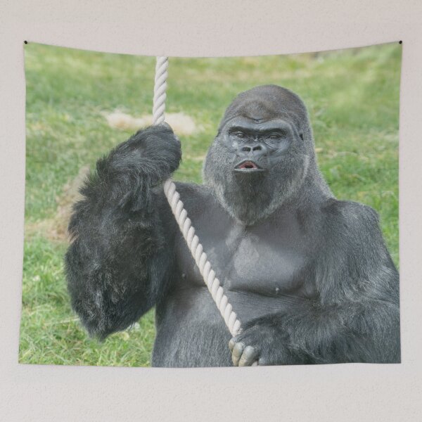 Item preview, Oumbi’s Powerful Hoot designed and sold by rawshutterbug.