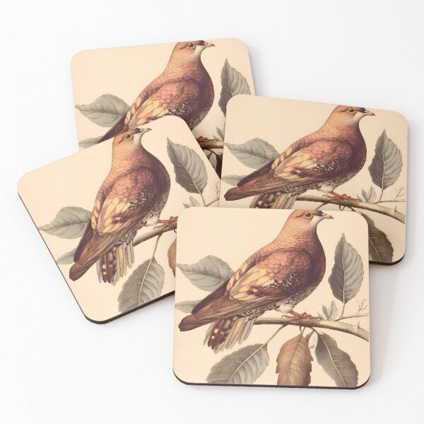 Item preview, Rolinha-Roxa — Gravura Botânica Vintage | Atlantic Forest designed and sold by AtlanticForest.