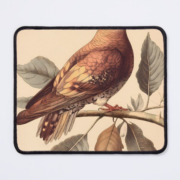 Item preview, Rolinha-Roxa — Gravura Botânica Vintage | Atlantic Forest designed and sold by AtlanticForest.
