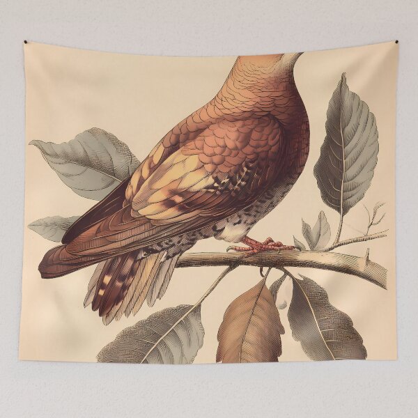 Item preview, Rolinha-Roxa — Gravura Botânica Vintage | Atlantic Forest designed and sold by AtlanticForest.